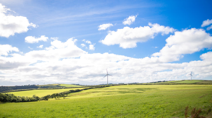 Norton Barton Artisan Food Village shortlisted for British Farming Awards 2017