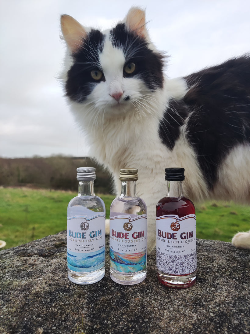 Bude Gin Miniature Gift Pack